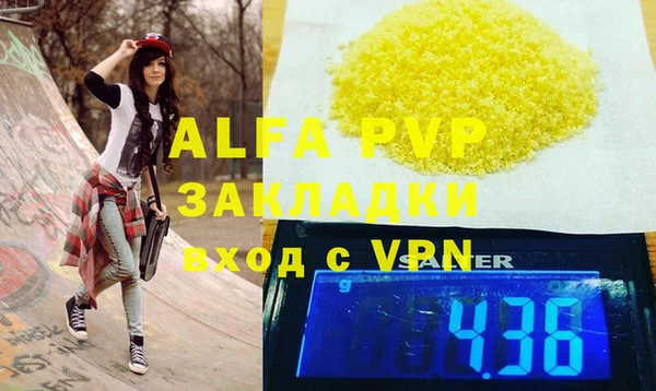 гашик Верея