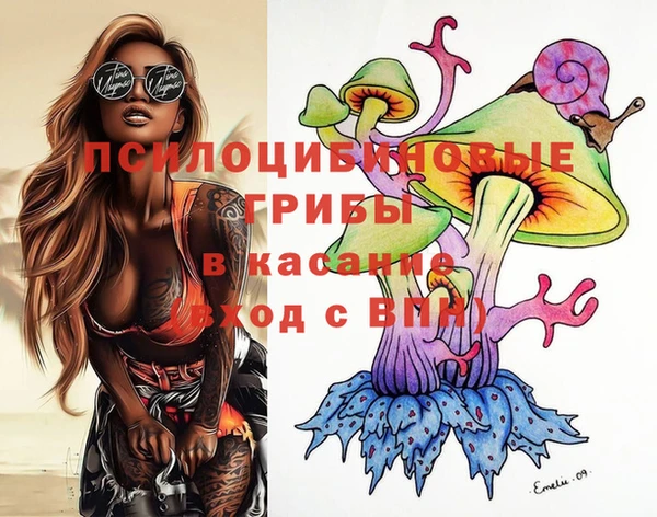 гашик Верея