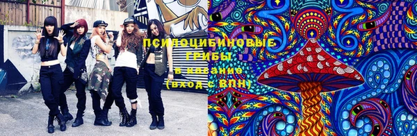 гашик Верея